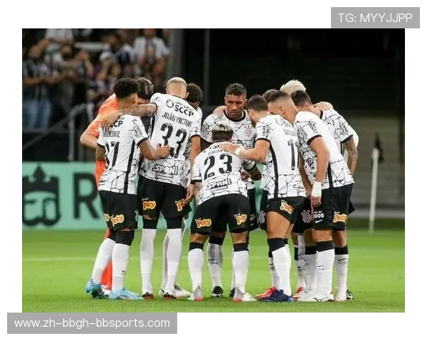 巴西甲级联赛2019赛季全面回顾与球队表现排行