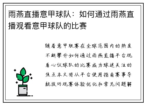 雨燕直播意甲球队：如何通过雨燕直播观看意甲球队的比赛