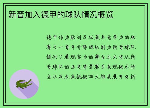 新晋加入德甲的球队情况概览